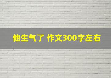 他生气了 作文300字左右